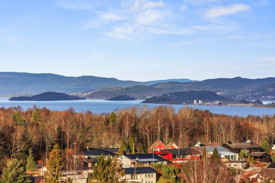 View