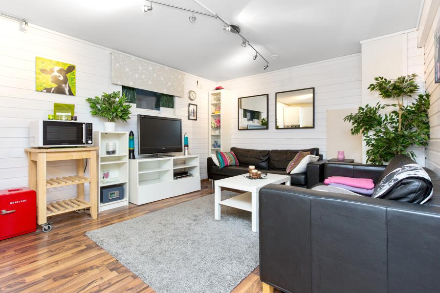 Basement living room