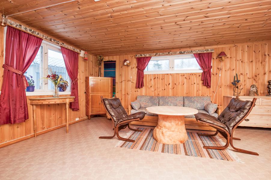 Basement living room