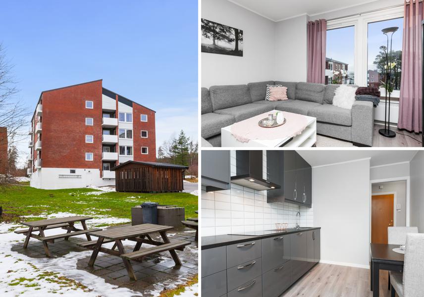 Velkommen til Høiendal 11 11