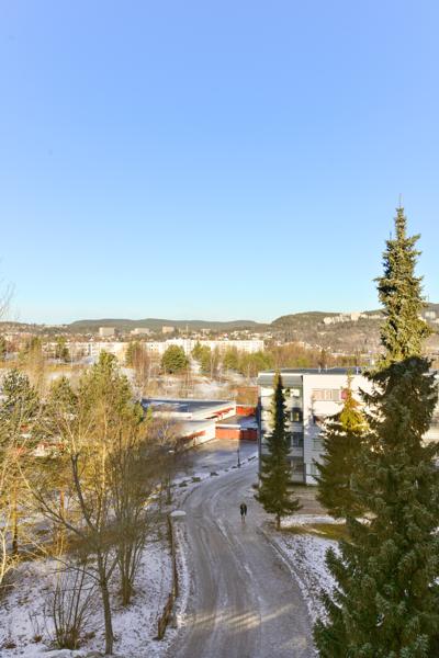 Utsikt