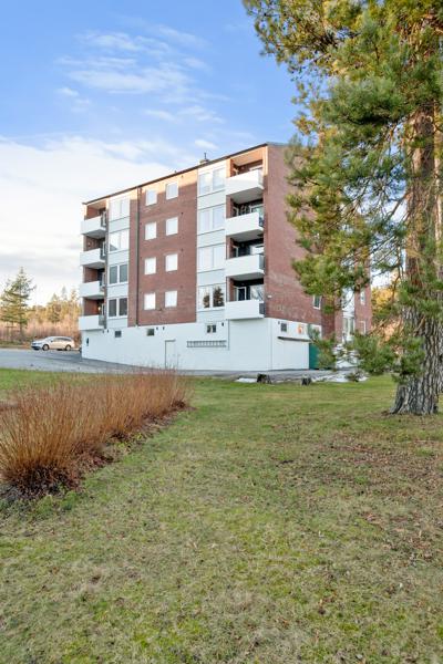 Velkommen til høiendal 9 9