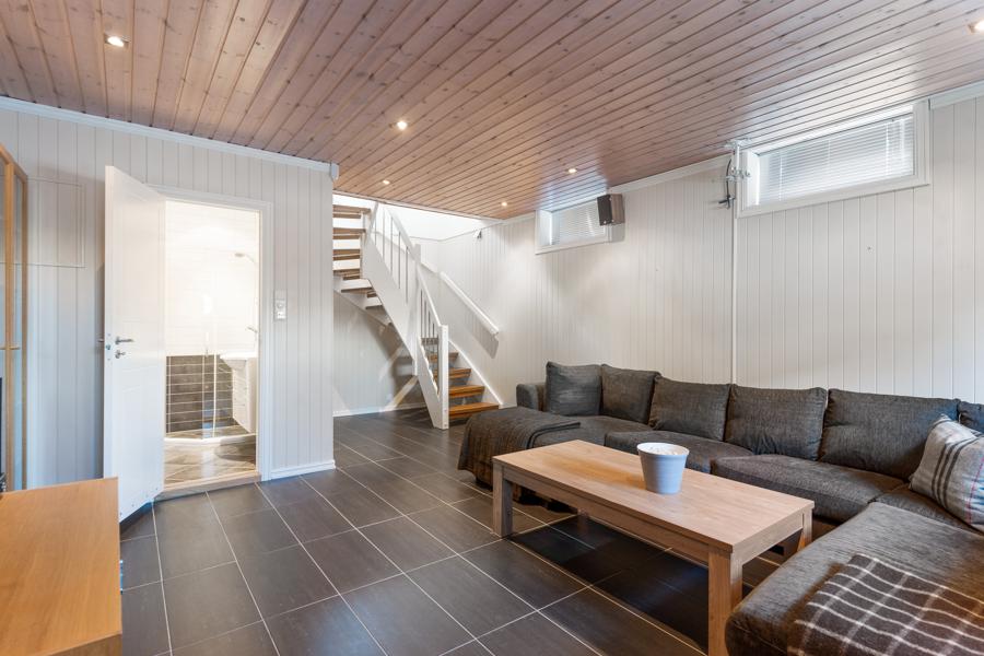 Basement living room