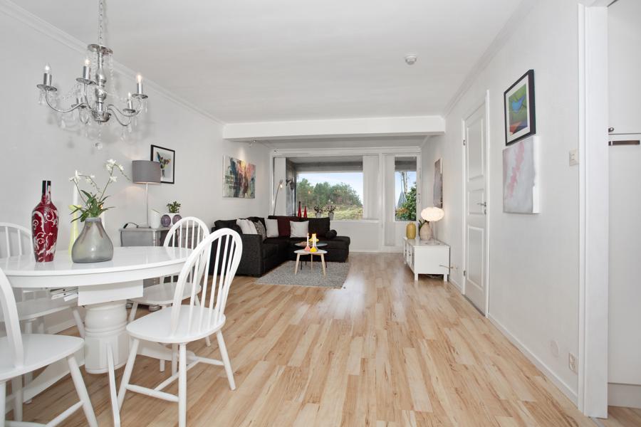 Velkommen til Bjørndalsskogen 43 43