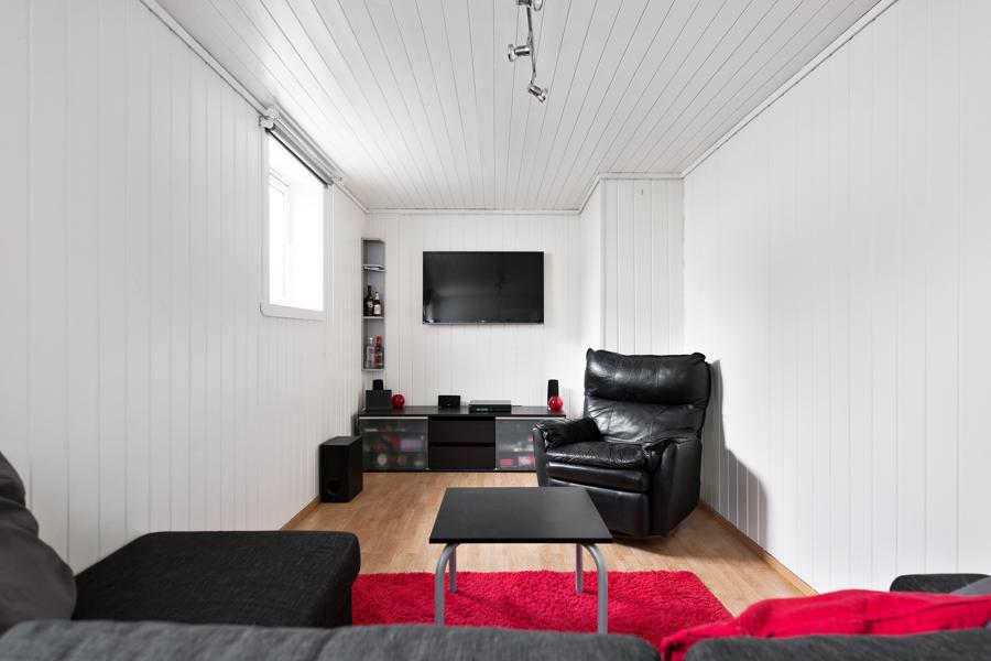 Basement living room