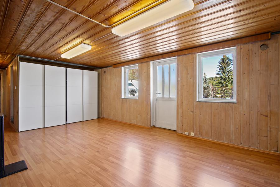 Basement living room