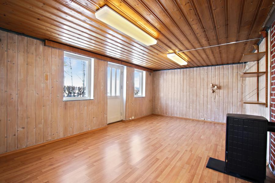 Basement living room