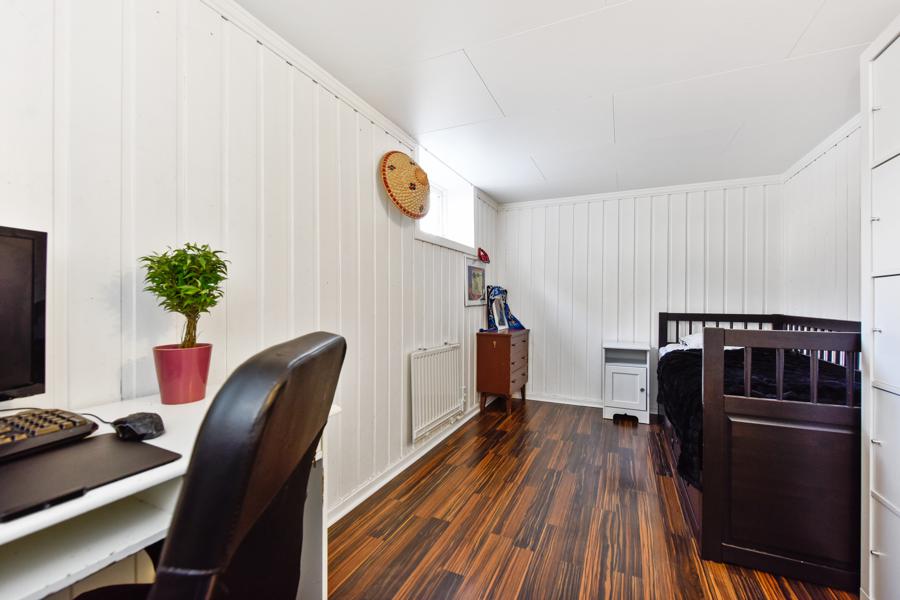 Basement living room