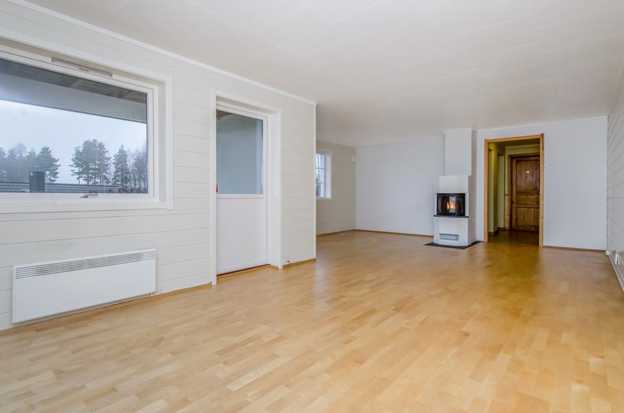 Basement living room